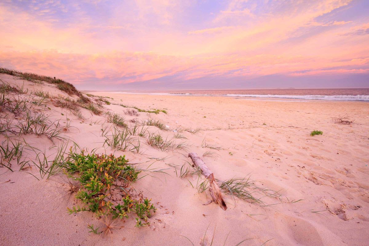 Coral Sands | Bennett's Beach