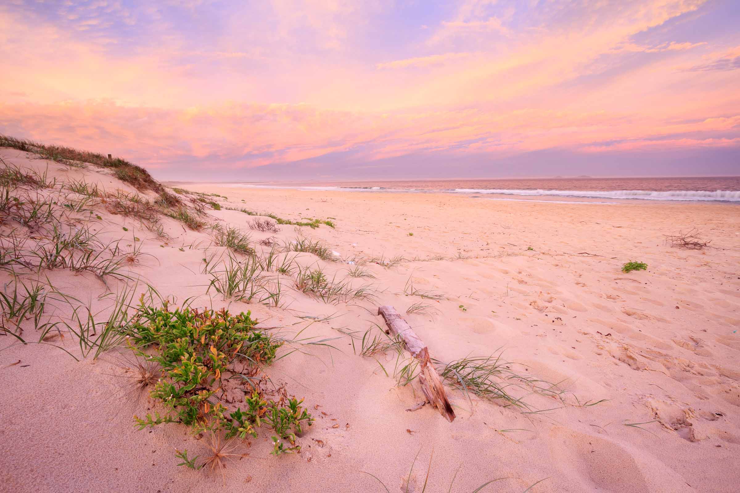 Coral Sands - Isaac Vanderhout Photography