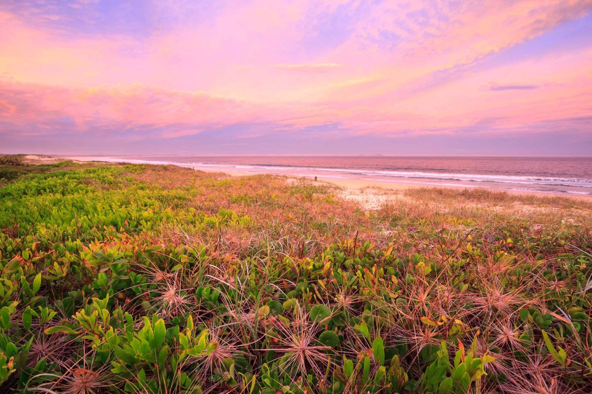 Sky Lights | Bennett's Beach